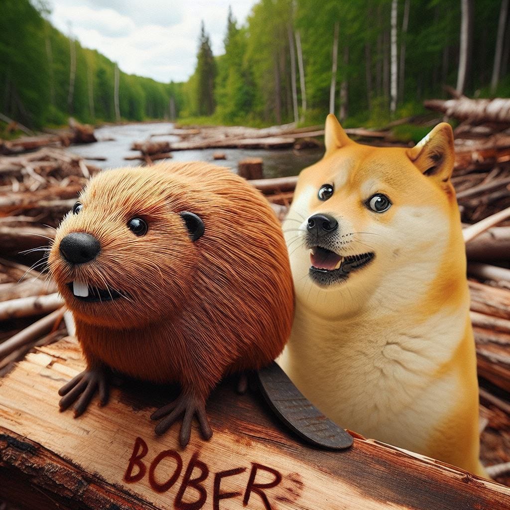 Bober. Community Takeover of the Next 1000x Memecoin | by Scott Baxter |  Medium