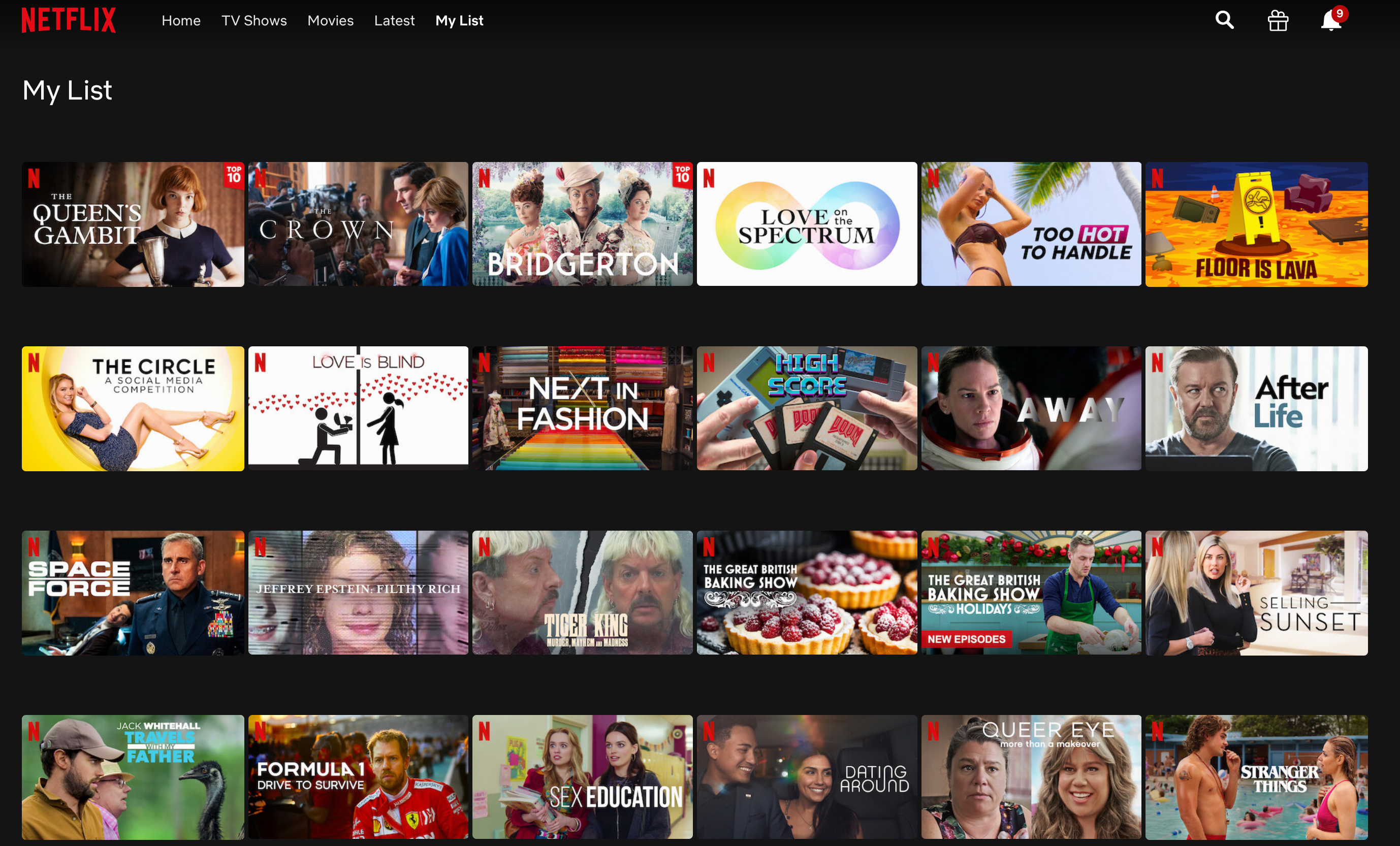 Netflix Review: 2020. ＊警告：這是一個極度主觀的清單，如果有我遺漏的好劇也歡迎在底下堆坑我。 | by 阿雲ㄉ美國生存筆記 |  Medium