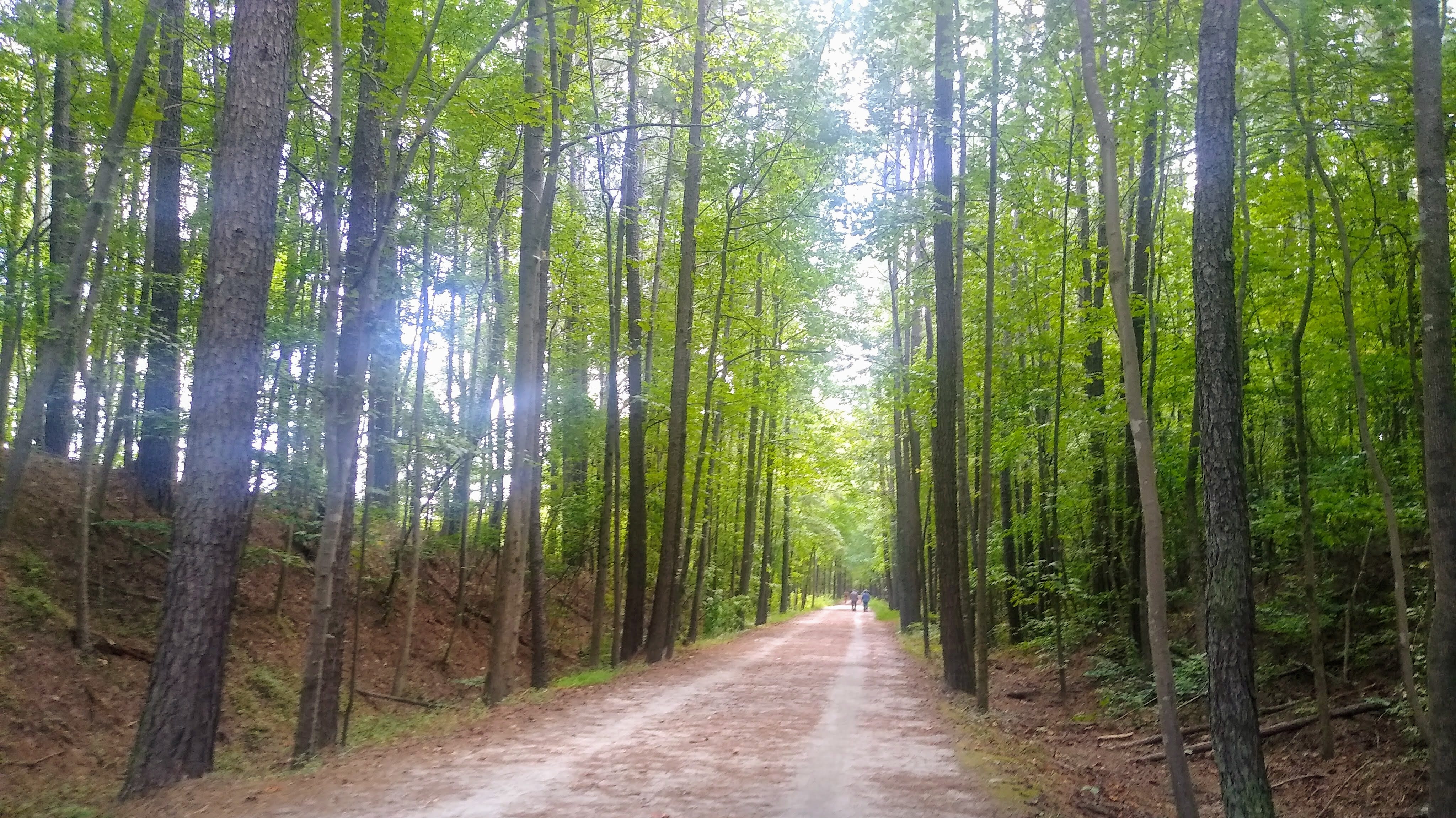 american tobacco trail - new hill parking area American Tobacco Trail -Part 1. In part one of the American Tobacco… | by  Gina James