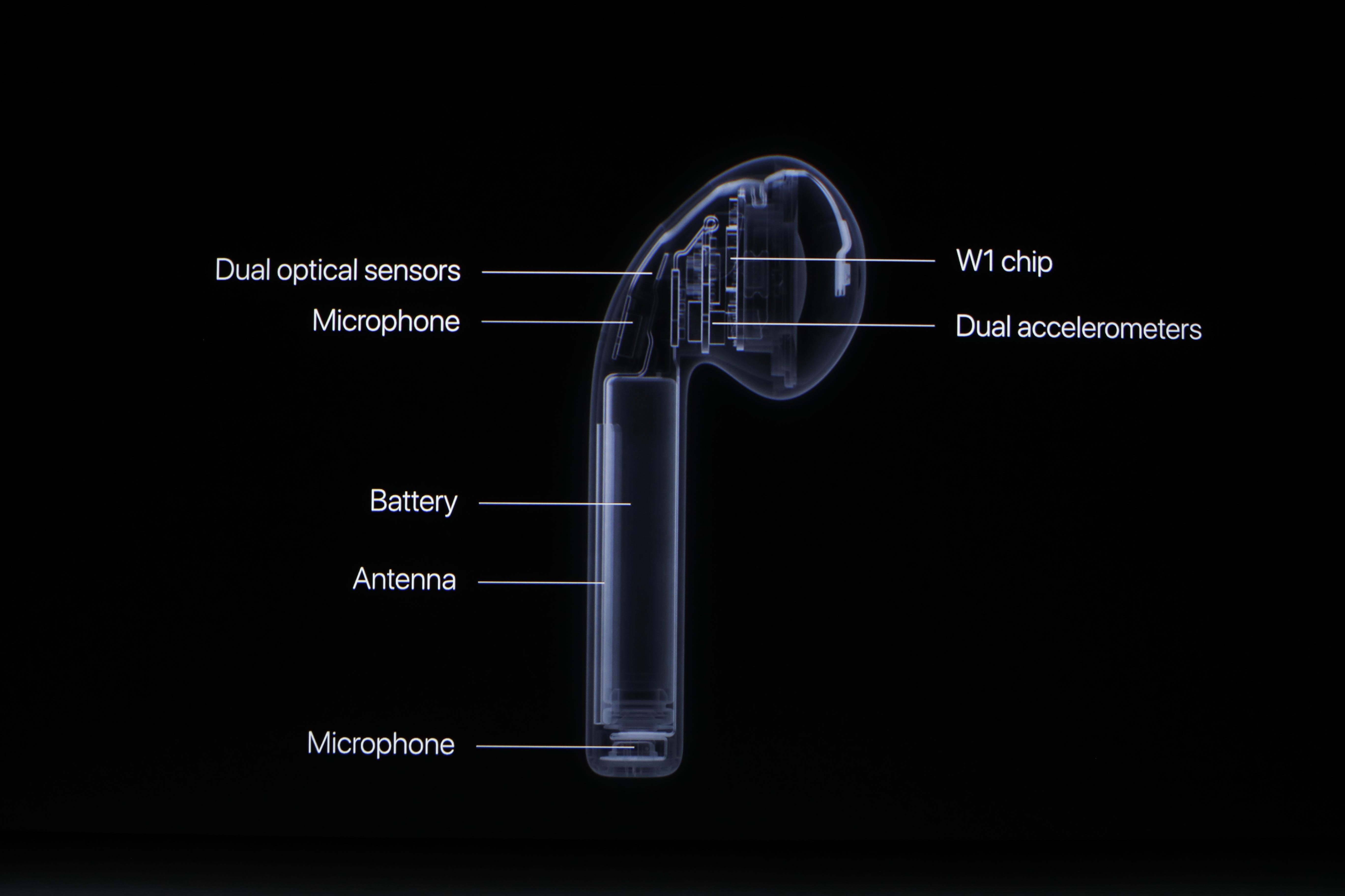 What Really Happens to AirPods When They Die | by Will Oremus