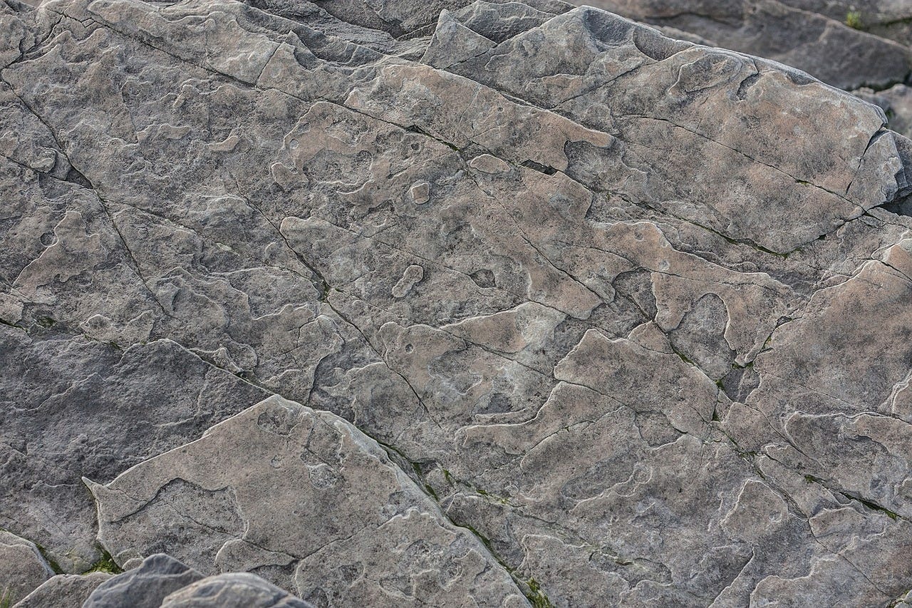 Grey Rock' method….what exactly is it? | by Scotty Bird | Medium