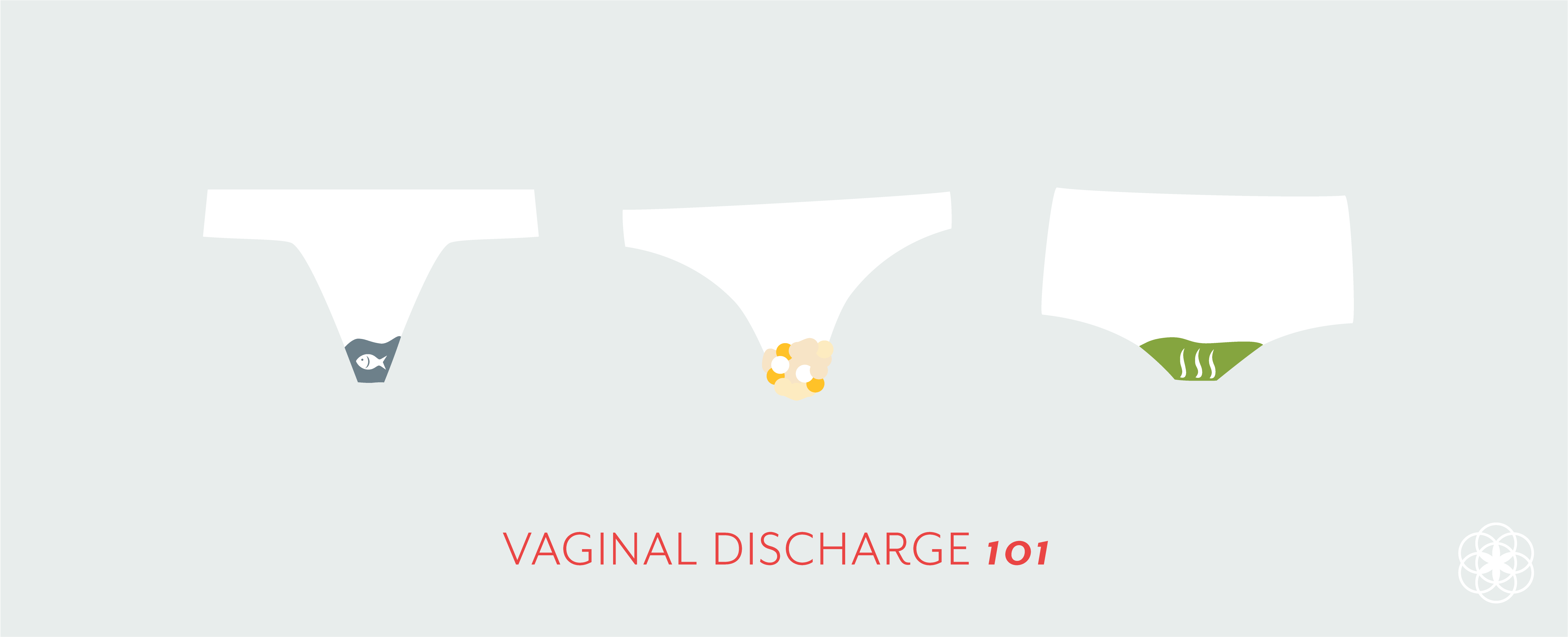 Vaginal Discharge 101: What is “normal?” | by Anna Druet | Clued In | Medium, image size:5601x2276