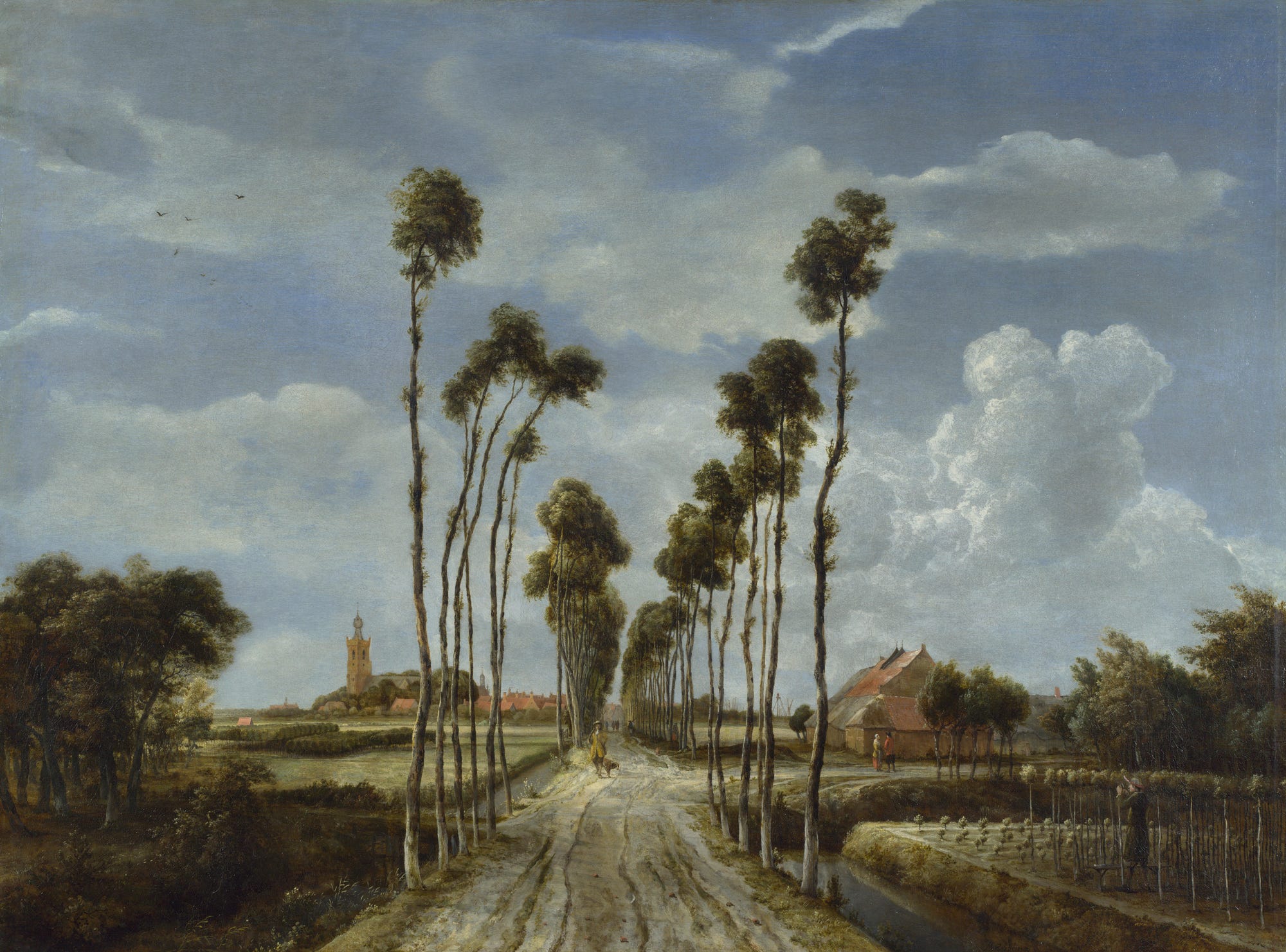 MERCY TREES オランダ写真家　Hans van Ommeren 写真集 Why this Landscape Painting is a Lesson in Balance, Composition