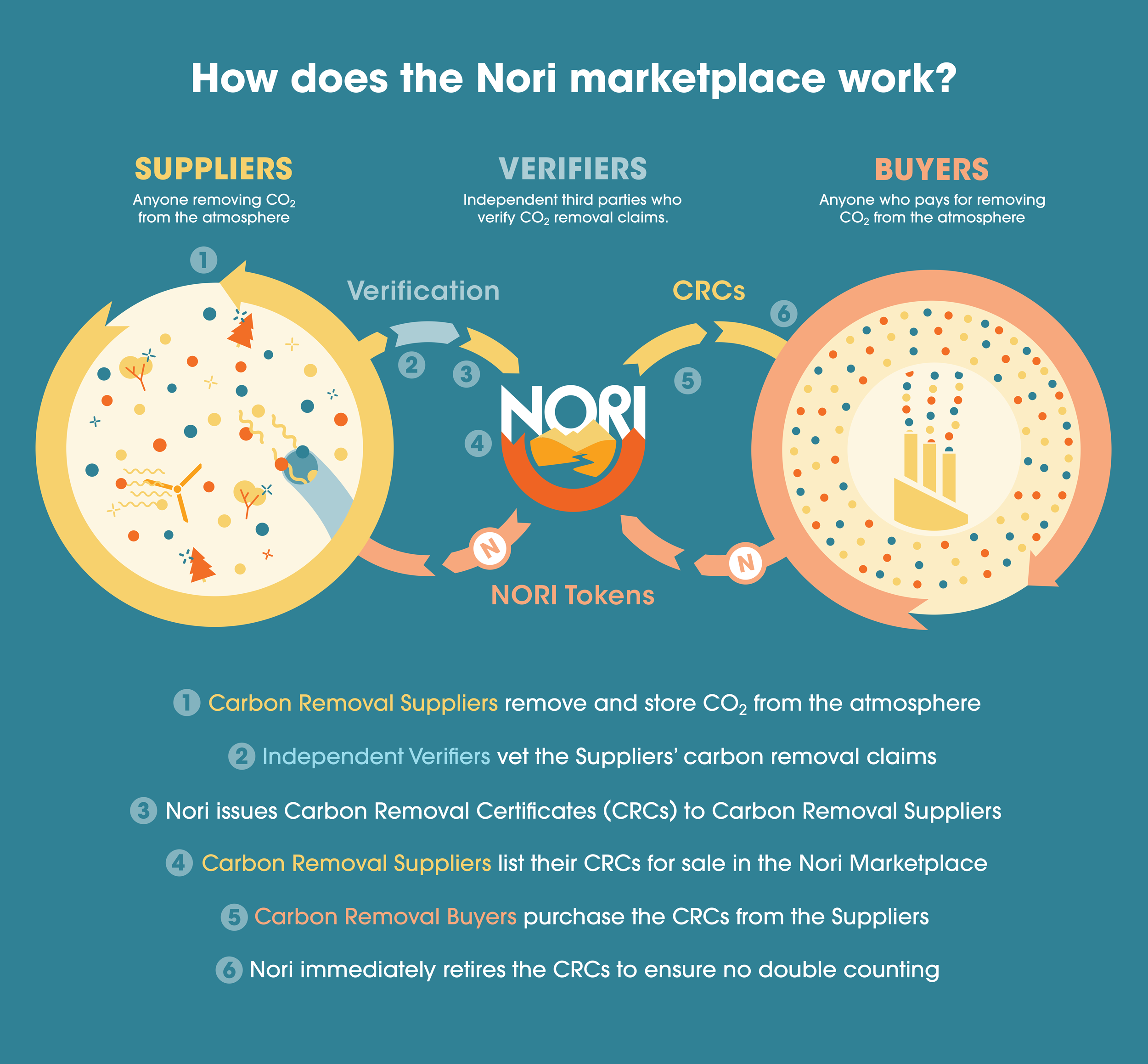 How Nori compares to other blockchain and climate plays | by Christophe  Jospe | Nori | Medium