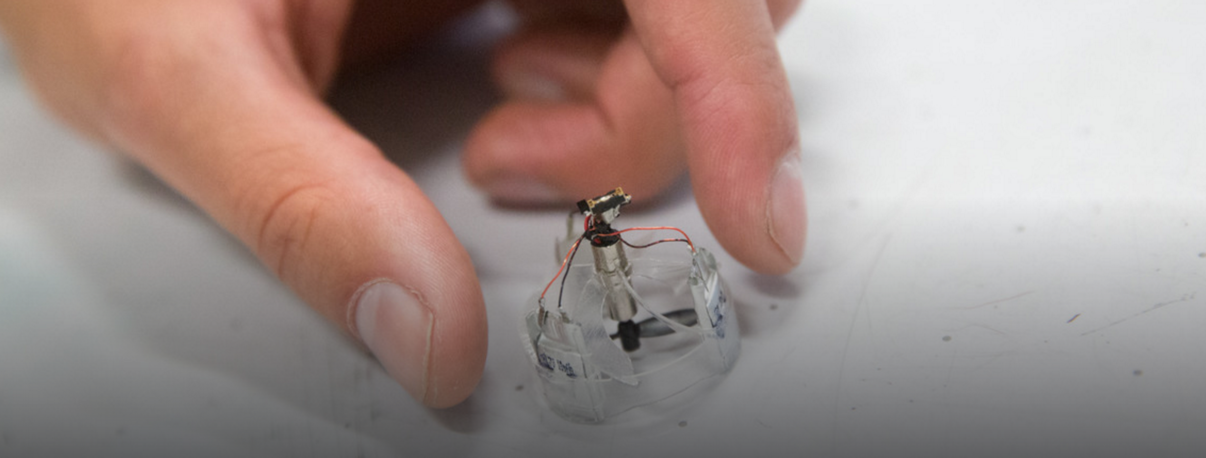 Interfaccia di Olissimo