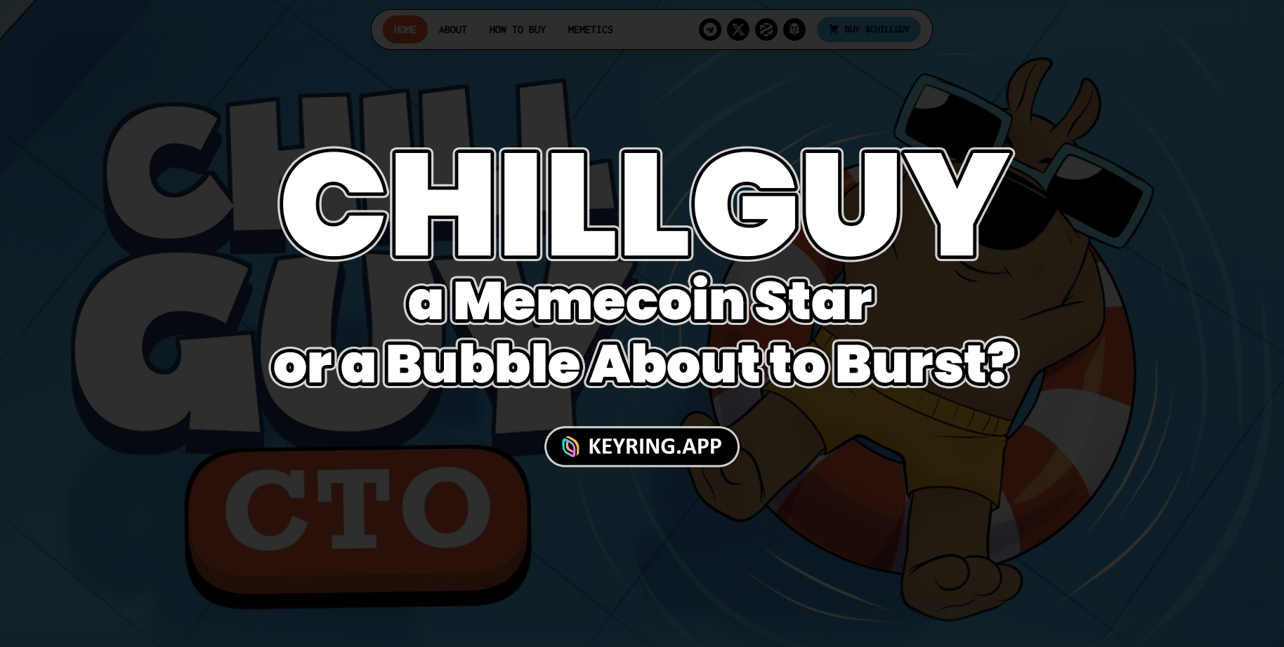 CHILLGUY: a Memecoin Star or a Bubble About to Burst? | by Antony  Threecores | Medium