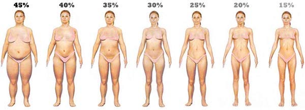healthy how to get a proper body shape
