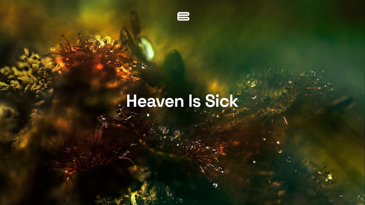 Excerpt from “Heaven is sick” | Timur Si-Qin | by Biotoopia | Library of  Biotoopia