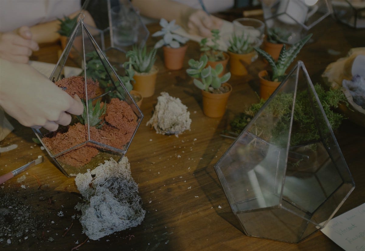 Como Hacer Crecer el Liderazgo Distribuido? | by Alanna Irving | Medium, image size:1200x827