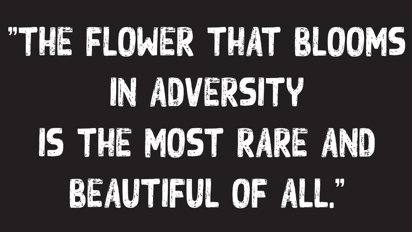 In Every Adversity Lies Seeds of Wisdom | by Craig Kolavo | Change Your  Mind Change Your Life | Medium, image size:1312x739