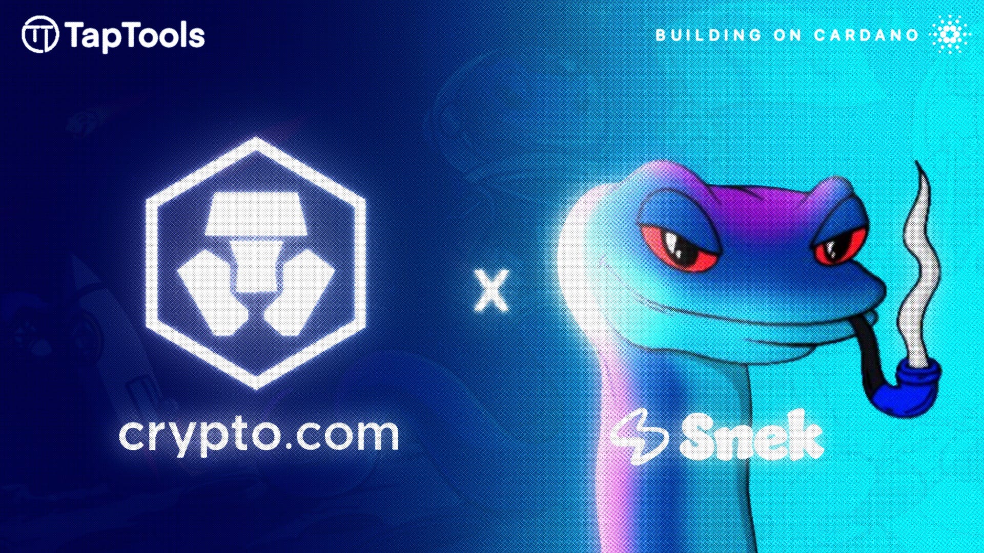 Cardano Memecoin Snek Listed on Crypto.com | by Tap In With TapTools | Tap  In With TapTools | Medium