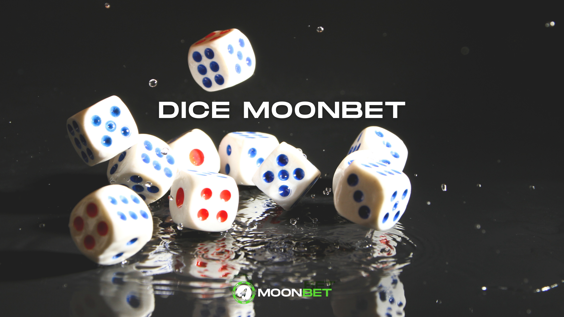 Dice Mastery: Strategies for Winning in Crypto Gaming on Moonbet.io | by  Moonbet.io | Medium