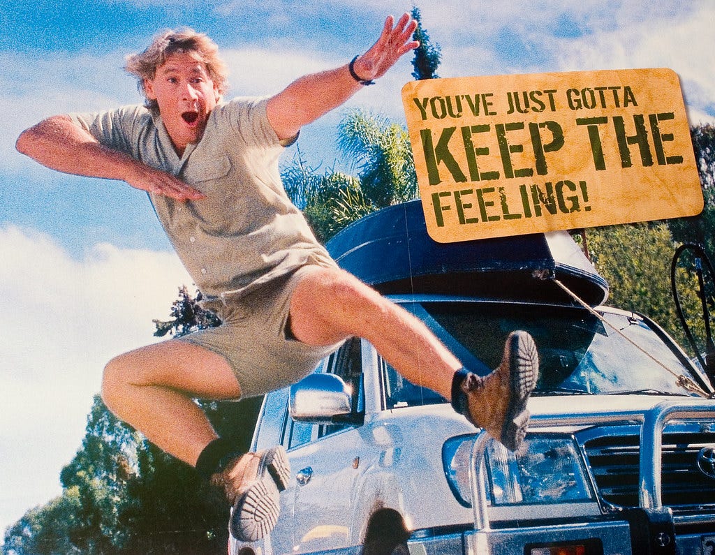 Steve Irwin Motivational