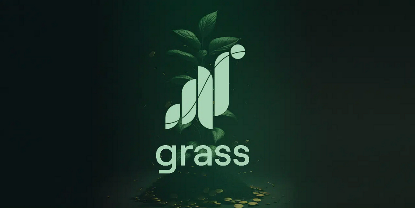 Interview with Grass Co-founder: How LCR Technology is Revolutionizing the  AI Industry | by WuBlockchain | Medium