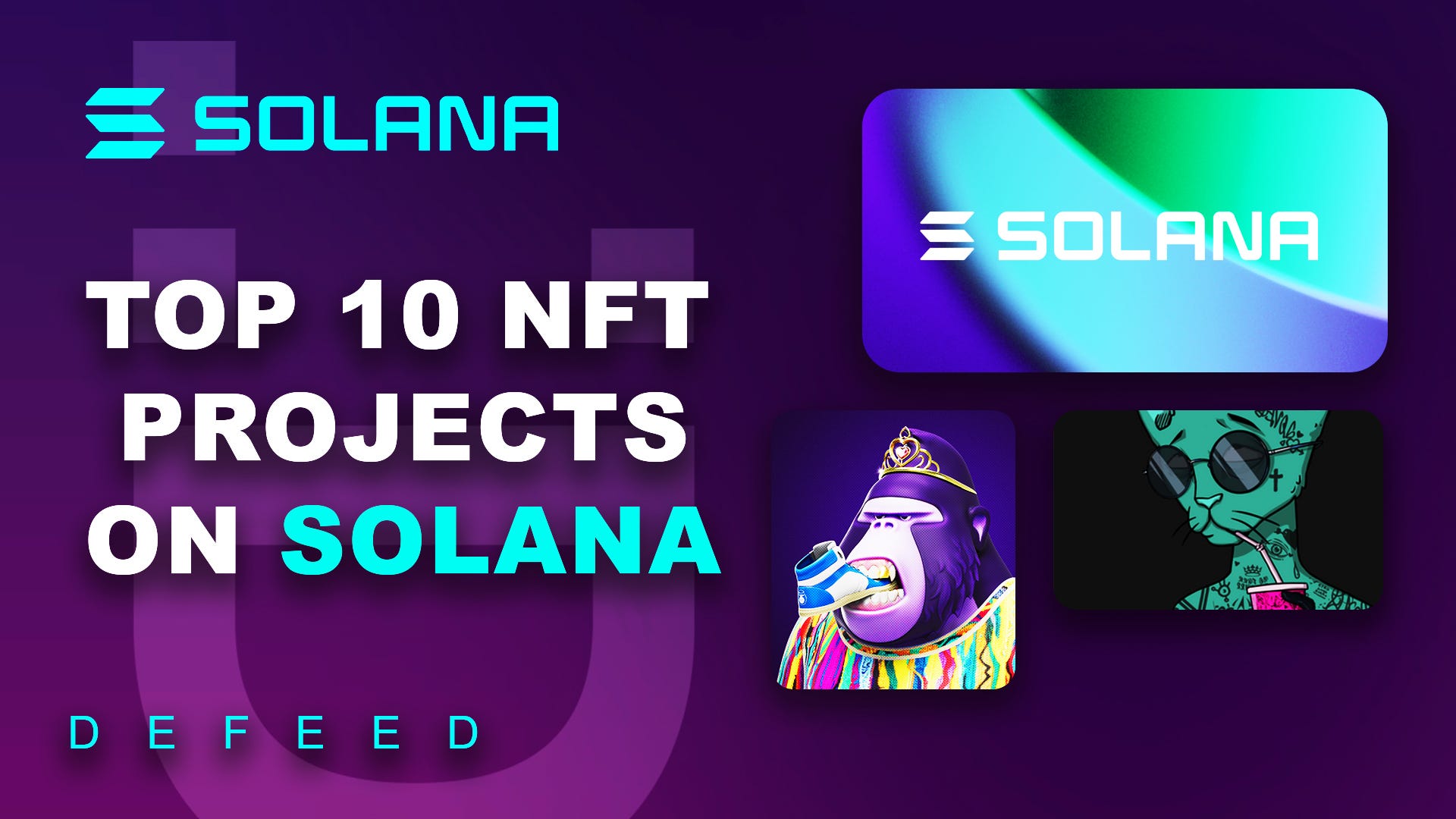 Solana nft projects (85) 사진