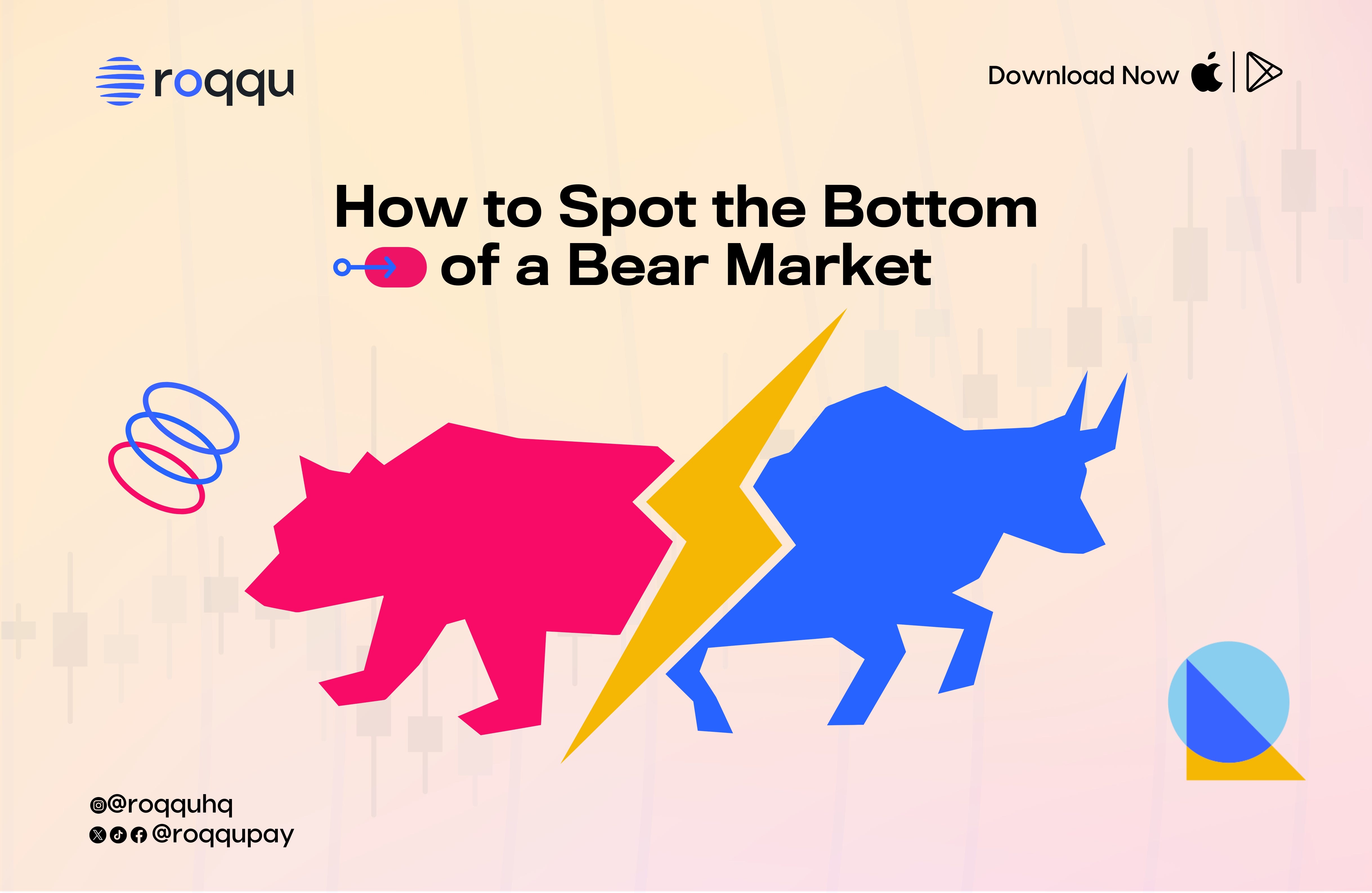 How to Spot the Bottom of a Bear Market | by Roqqu Pay | Medium