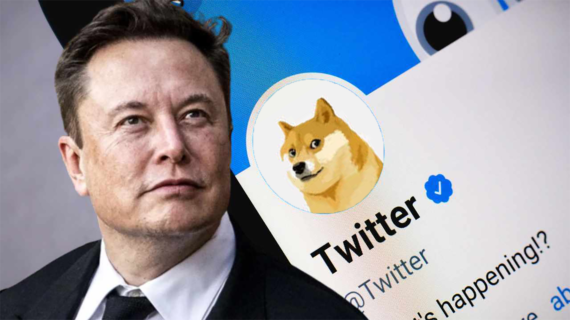 Twitter Puts Dogecoin Integration on Hold with New X Payments Service | by  Nitesh Padghan | Medium