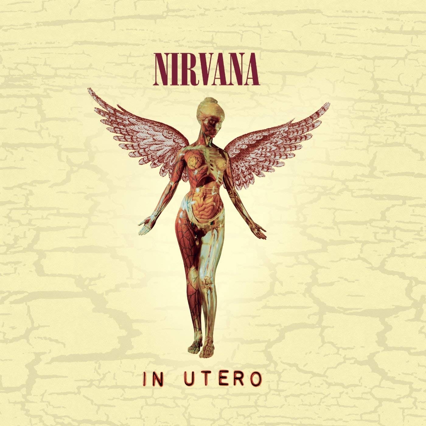 O anjo de In Utero. Nirvana foi quem introduziu, de fato… | by Andreza  Gonçalves | Medium, image size:1400x1400