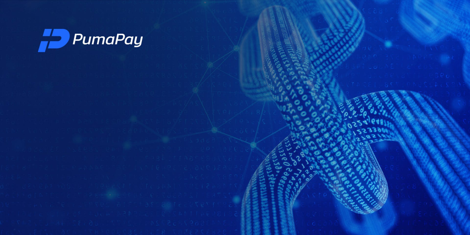 노드(node)란 무엇인가?. 노드(node)는 블록체인 영역에서 끊임없이 입에 오르내리는… | by PumaPay Korea  Editor | PumaPay Korea | Medium