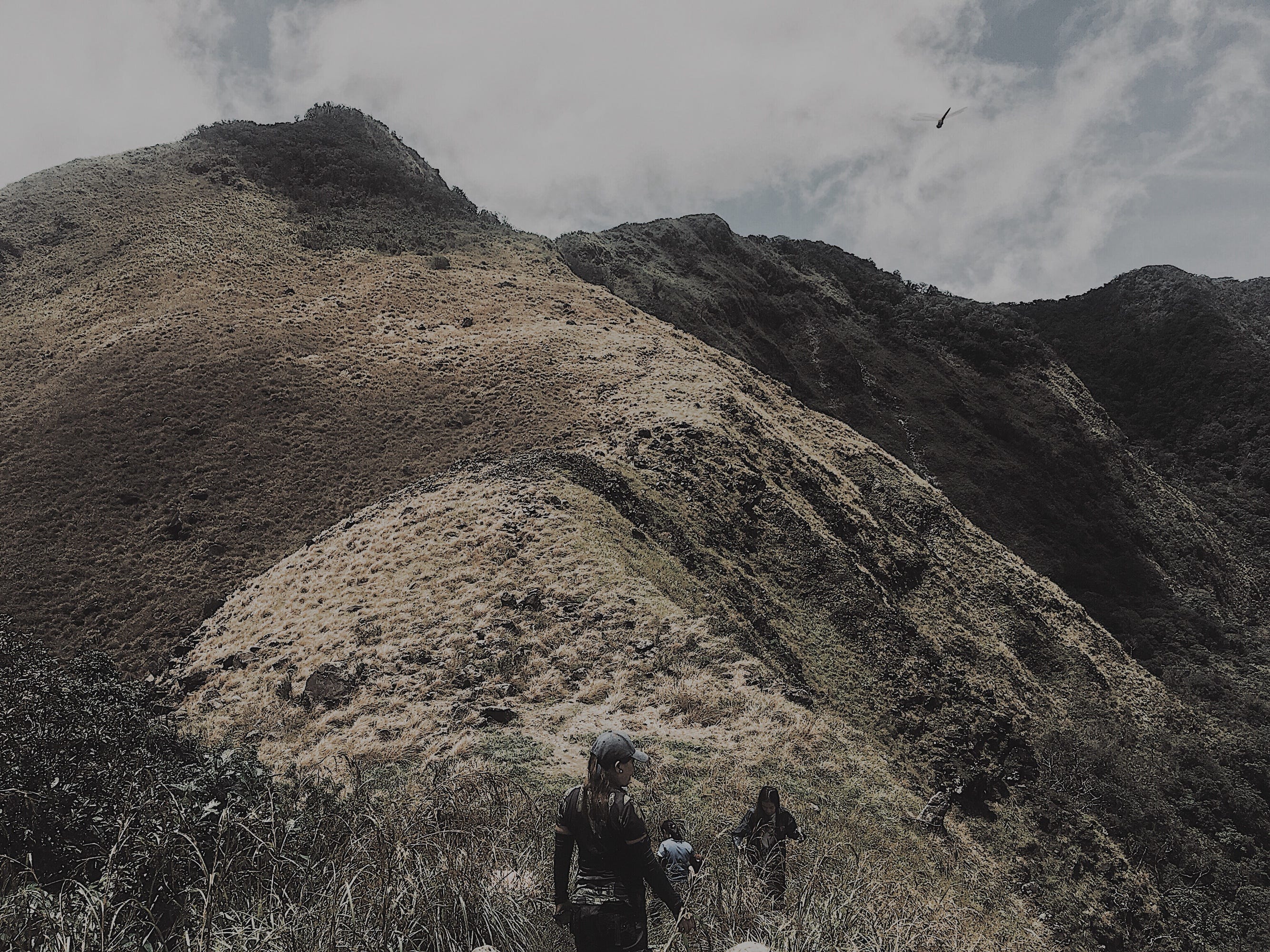 Married by Mountain. Have you ever heard quotes from… | by Eternal Book You  Have | Medium, image size:2668x2000