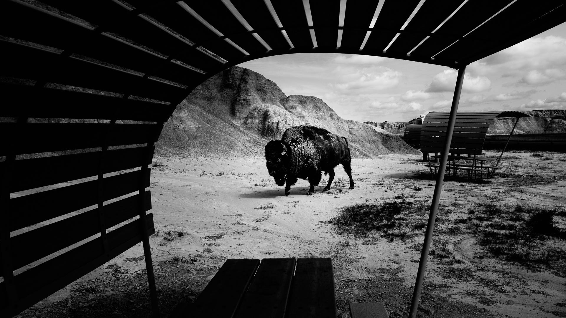 Can The Nikon Z9 Craft Magic Black and White Imagery? | by Ian