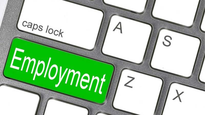 Understanding the Multifaceted Nature of ‘Working’ When Returning to Employment: An Analytical Guide Understanding the Multifaceted Nature of ‘Working’ When Returning to Employment: An Analytical Guide