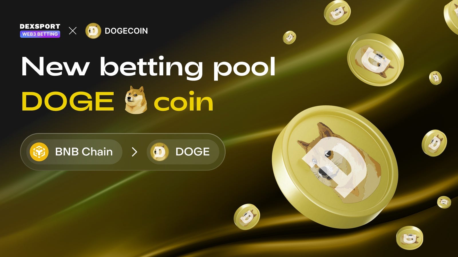 DOGE betting pool is live on Dexsport 🎯 | by Dexsport | Medium