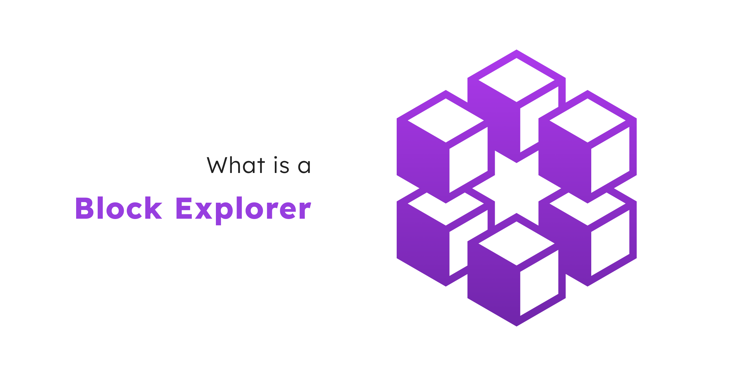 What‌ ‌is‌ ‌a‌ ‌Block‌ ‌Explorer?‌ ‌ | by NOWNodes | Medium