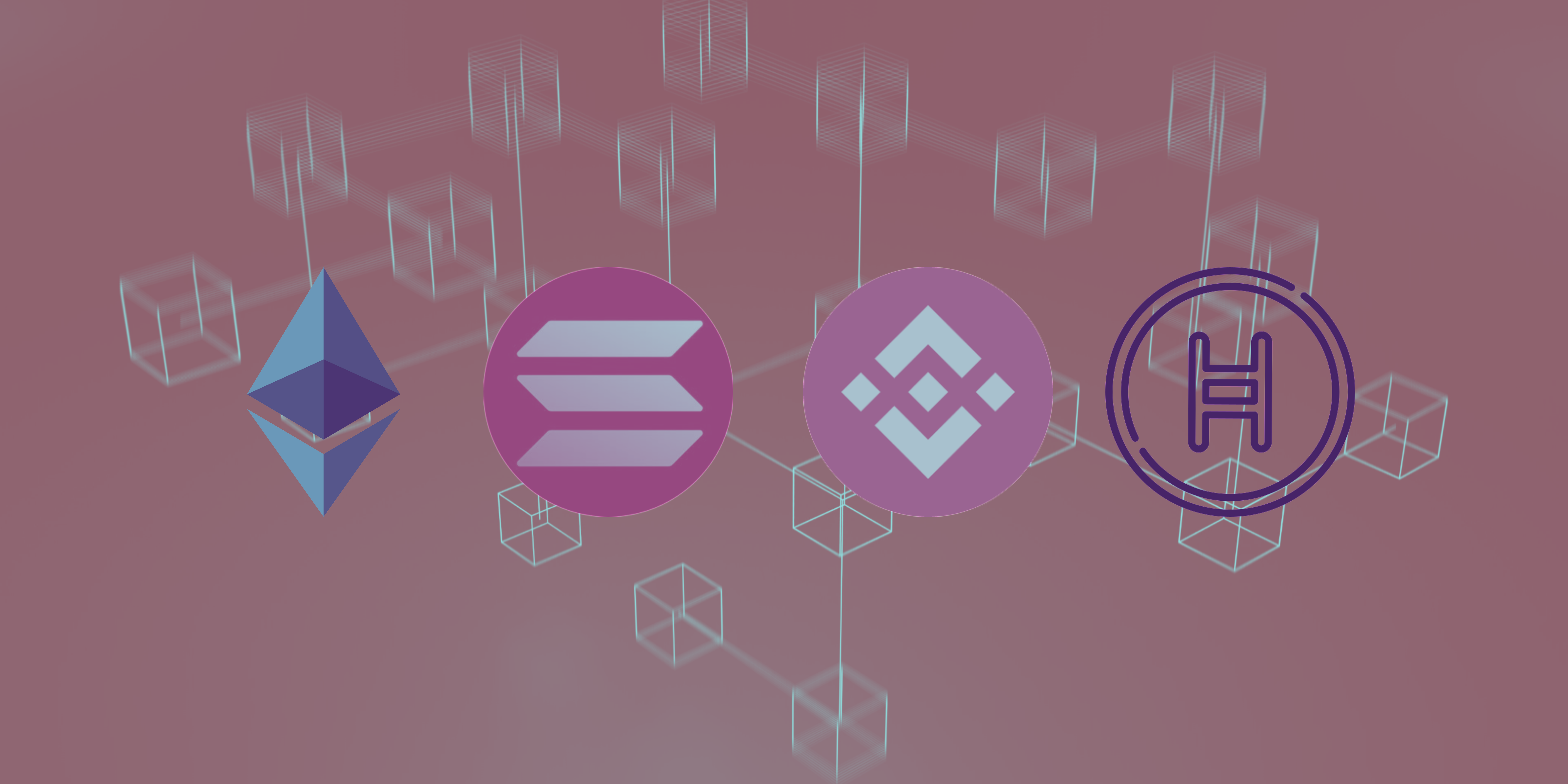 Ethereum, Solana, Binance Smart Chain, and Hedera — A Brief Comparison | by  Aly Marguerite Neumann | Medium
