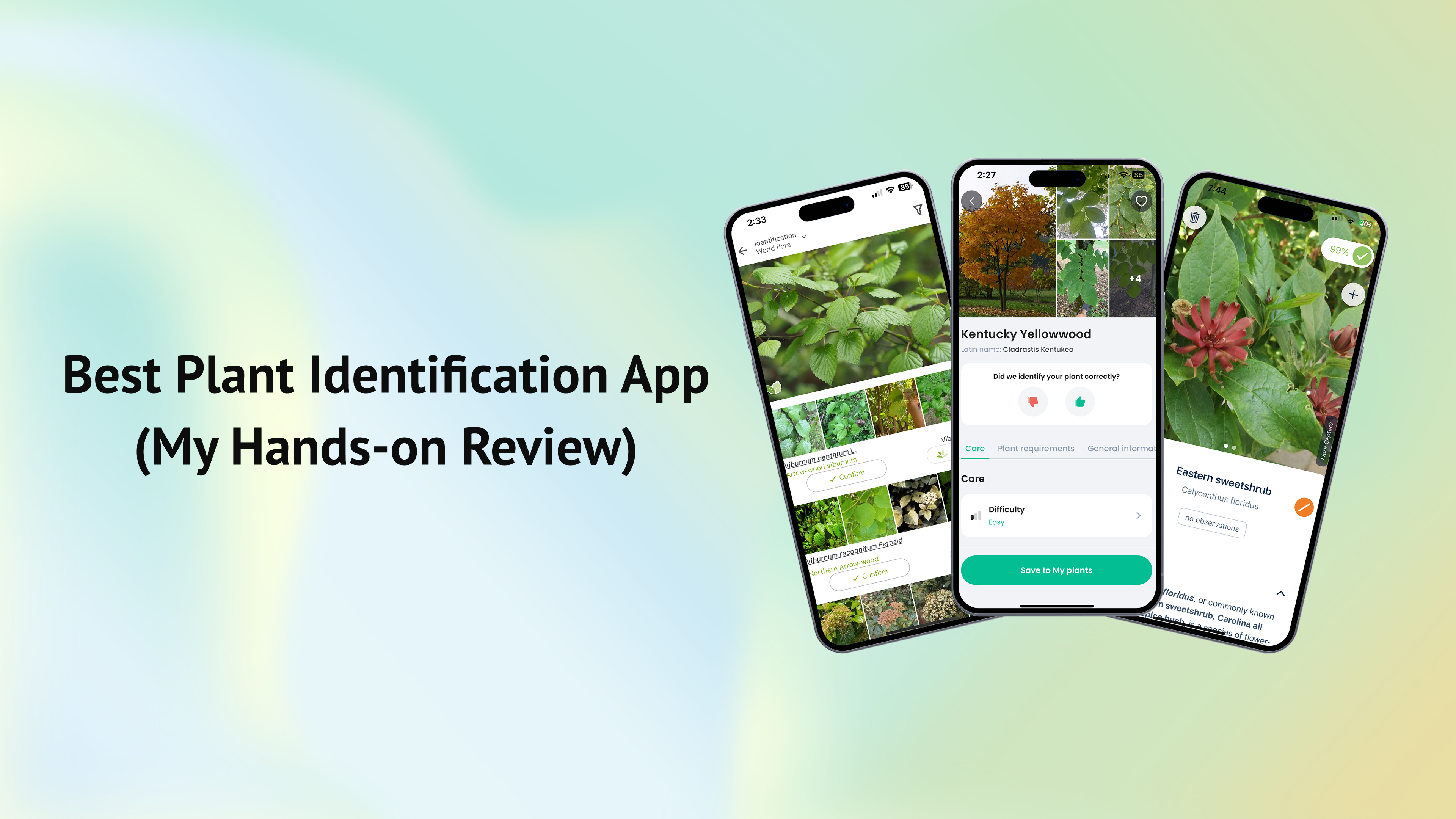 The Best Plant Identification App Tested: 7 Popular Apps Reviewed | Medium