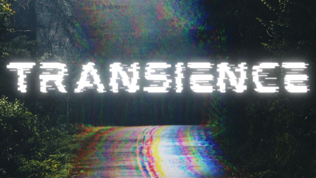 Transience (Capsule Review)