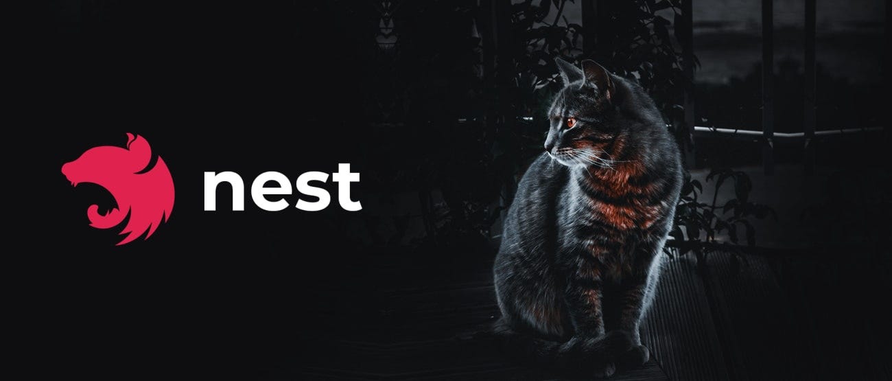 NestJS Docker setup illustration