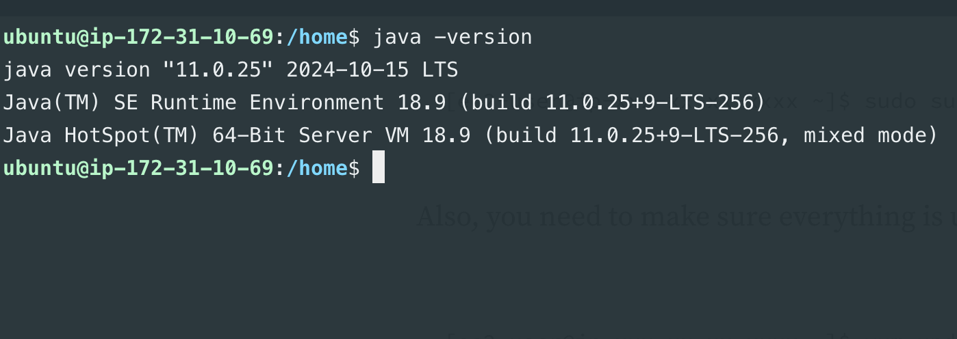 Java version