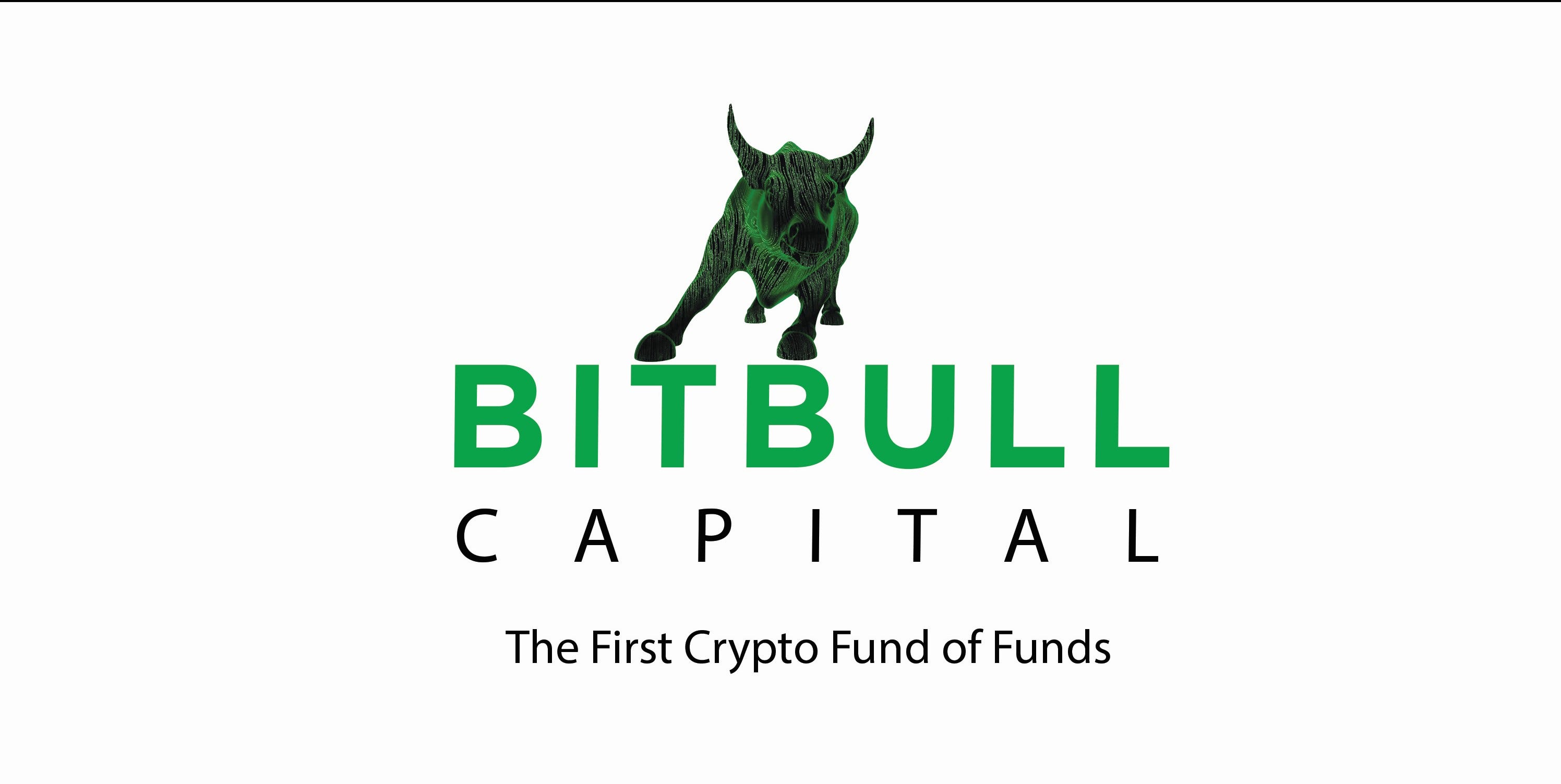 Introduction to BitBull Capital. I bought my first bitcoin in 2013… | by  BitBull Capital | BitBull Capital Research | Medium