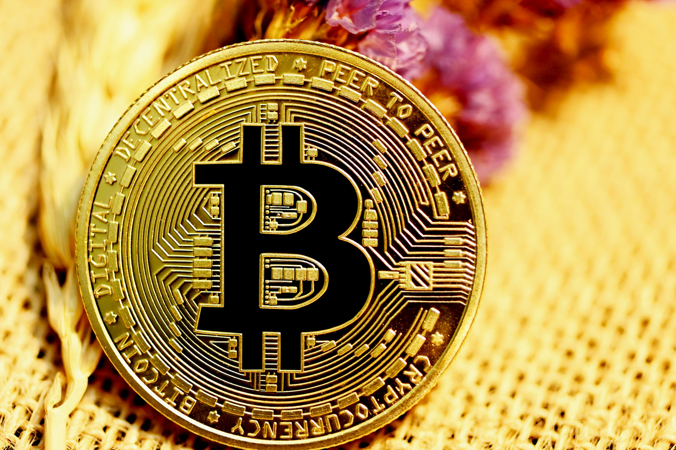 Bitcoin in 2025: Why the Future Is Bright for the King of Crypto | by  CryptoTalk | Digital Currency Traders