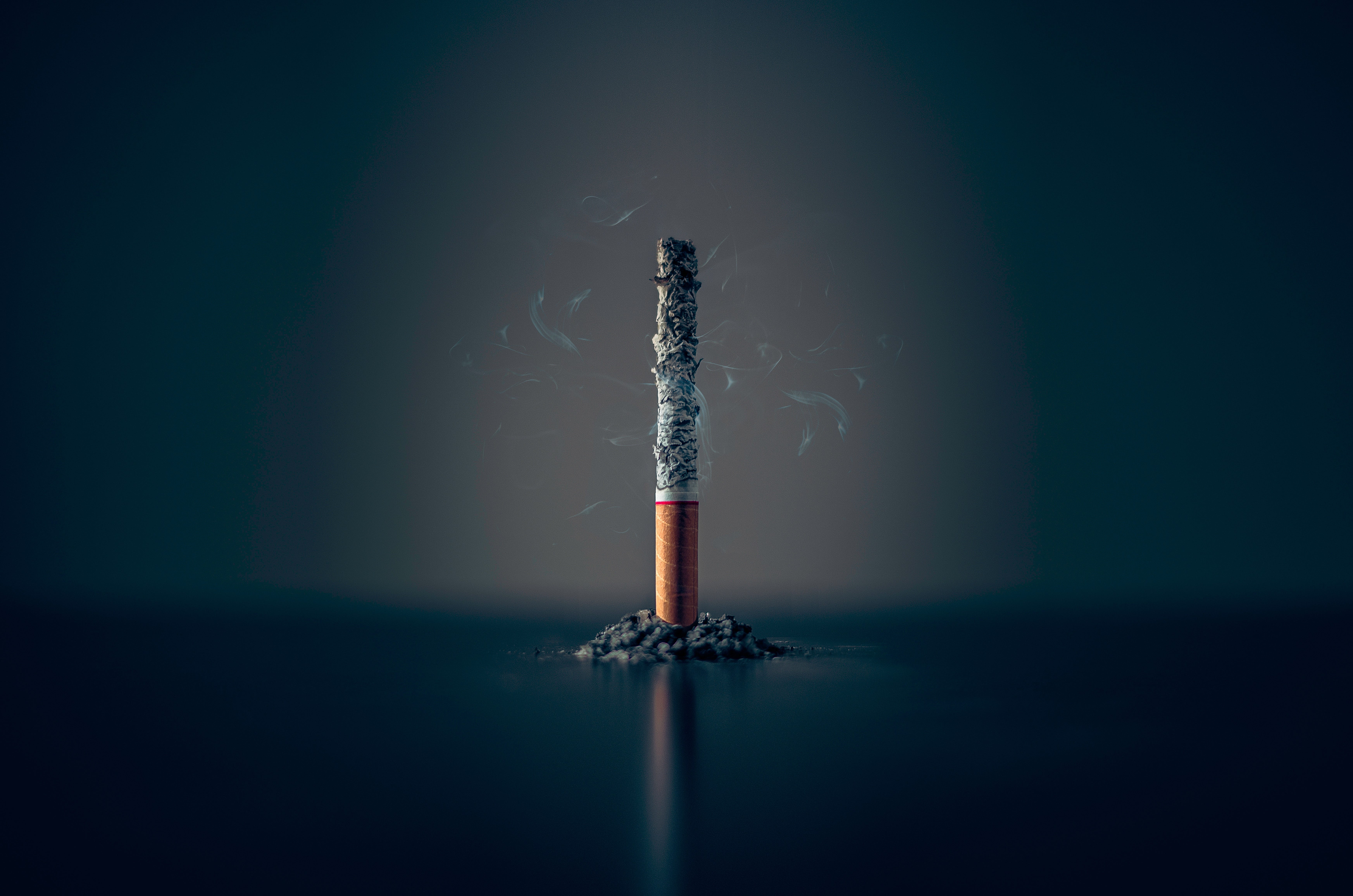 kentucky tobacco Kentucky Burley SL