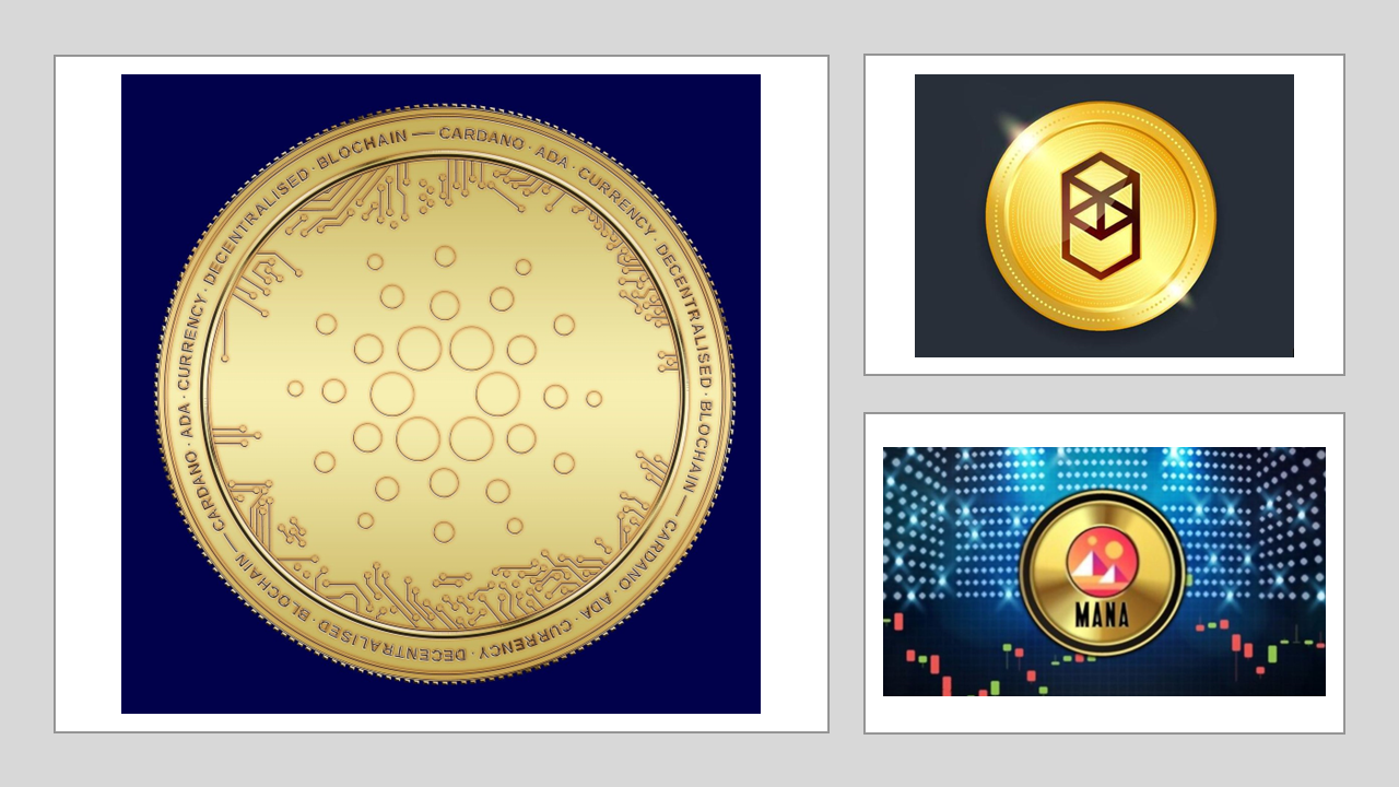 3 Crypto Altcoin Bargains You Should Buy Now with $300 | by Stephen Dalton  | DataDrivenInvestor