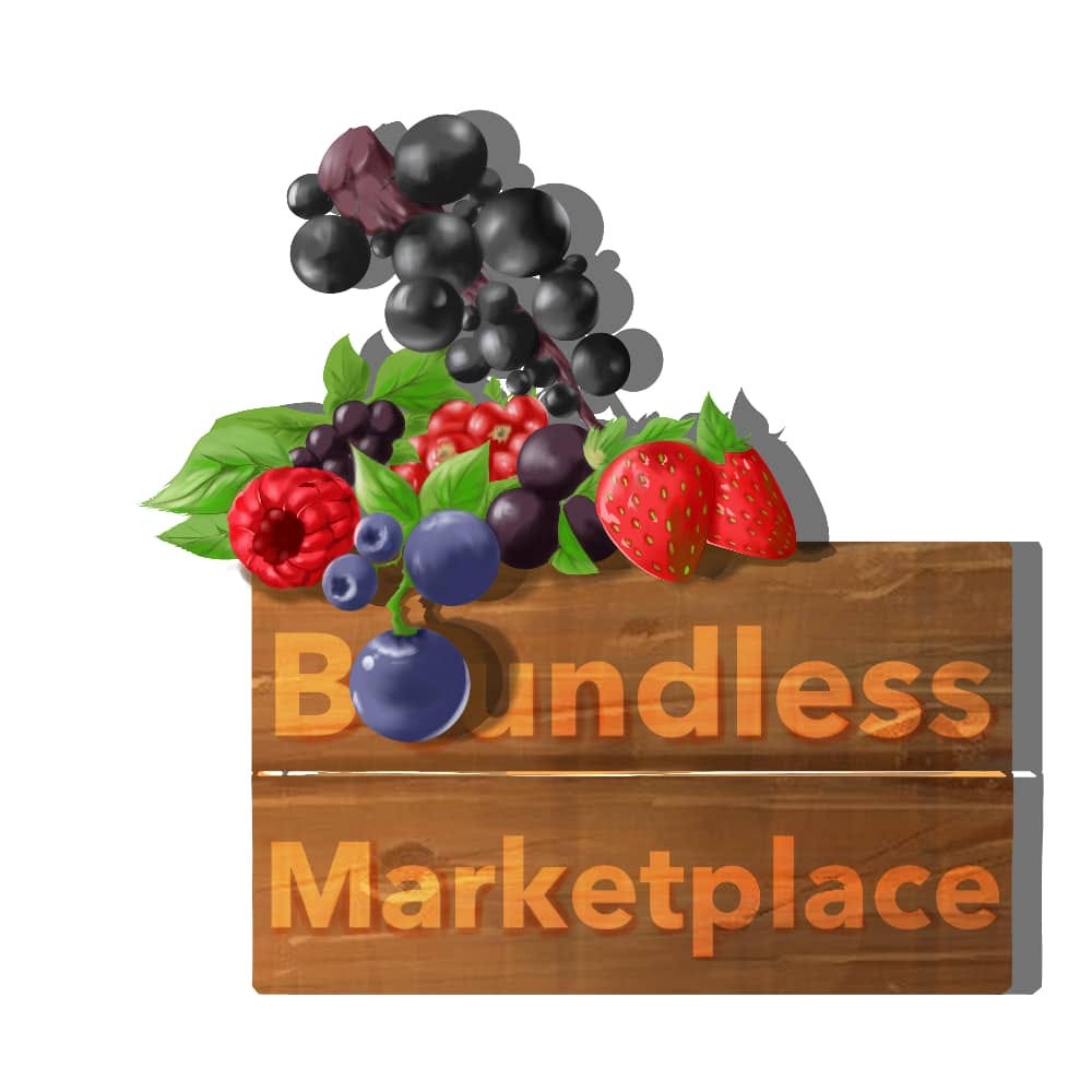 Boundless: A Berryfied Story 🍓. Came for the berries, stayed for the… | by  Julia Ofoegbu | Medium