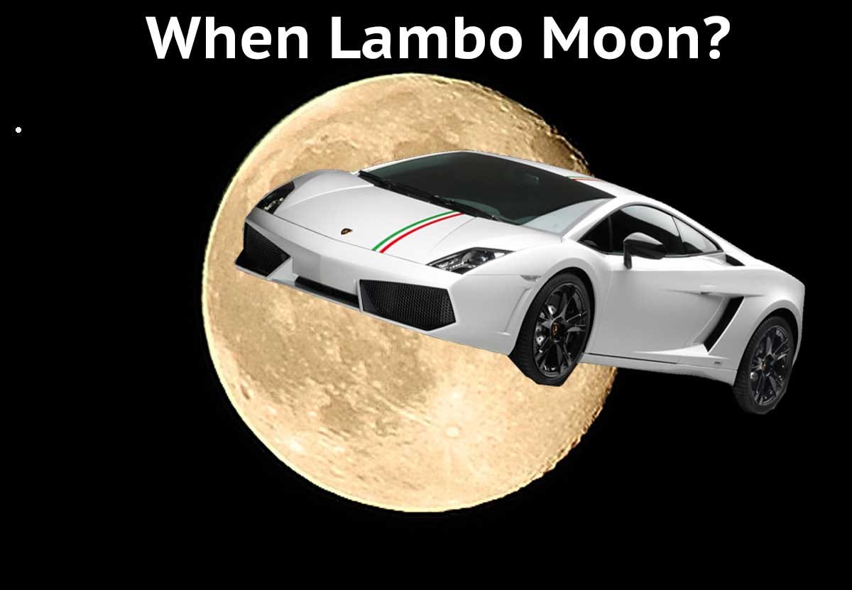When Moon? When Lambo?. What is a rational crypto valuation of… | by  Patrick Cryptozoa | Cryptozoa