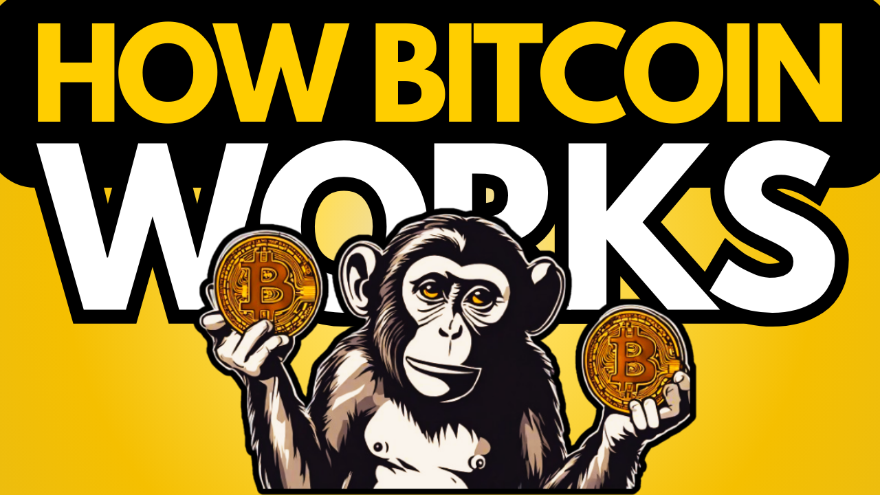 BITCOIN Explained for Beginners in 7 Minutes | by Brian | InsiderFinance  Wire