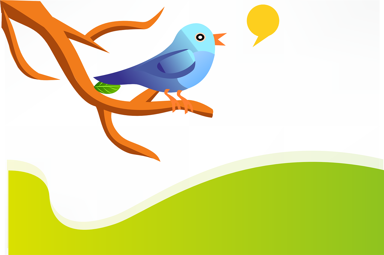 30 Twitter Influencers You Have to Follow for AI/Machine Learning | by  Roger Huang | Springboard