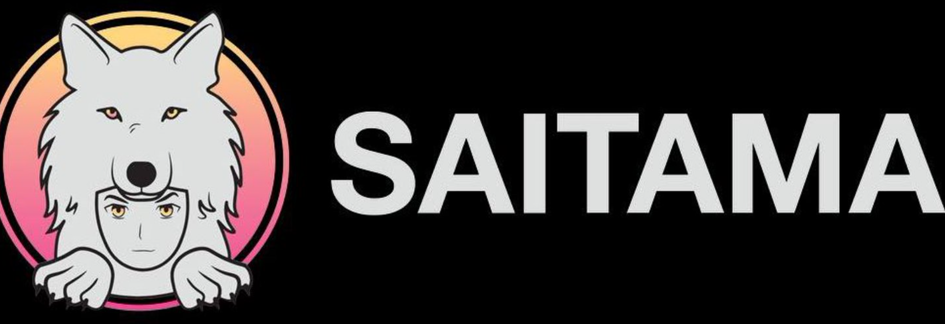 How to Mine Saitama Inu: Step-by-Step Laptop and Desktop Mining Guide in  2022 | by Luma Books | Medium