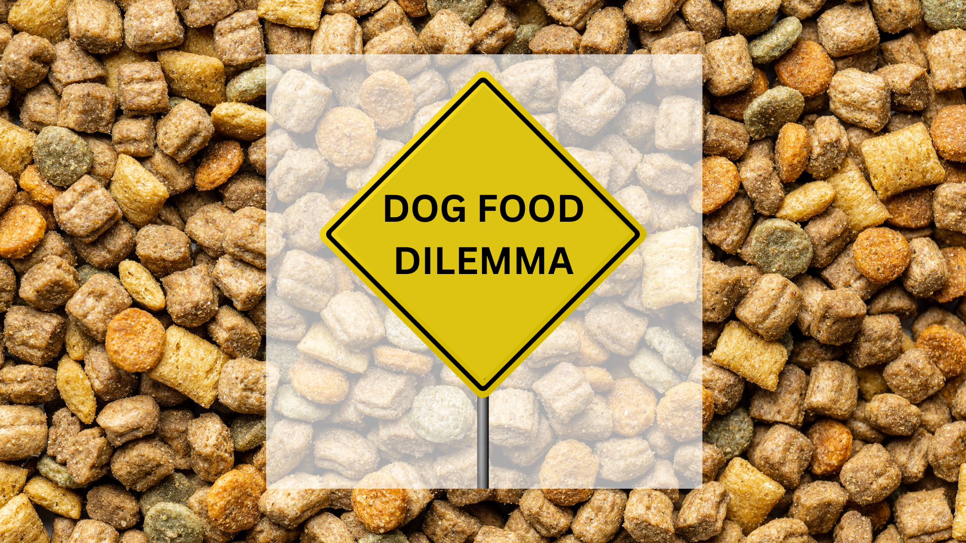 Do Dogs Get Tired of the Same Food? Discover Why