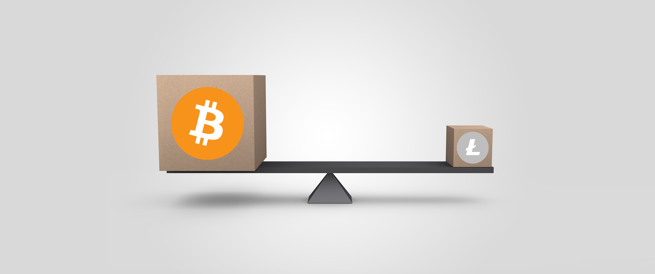 Výkony bitcoin a litecoin sítí. Jak jsou na tom? | by JakFungujeBitcoin |  Bitperia Stories | Medium