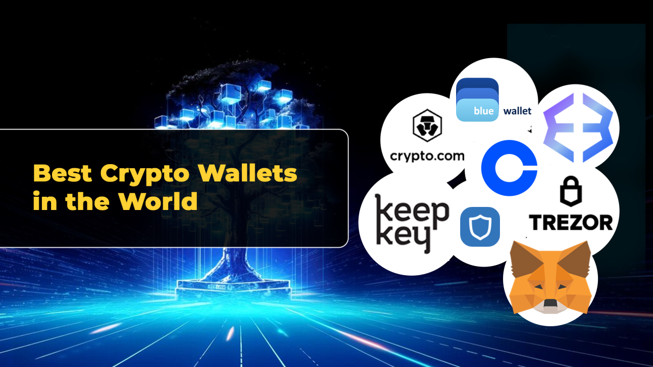 10 Leading Crypto Wallets for Web3.0 in 2024! | by Crypto Wiki | Medium