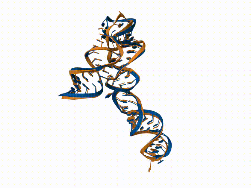 RNAdvisor: a comprehensive tool for RNA 3D structure assessment