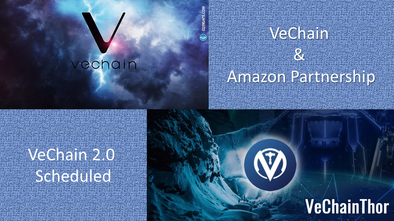 A “Crypto Winter” Thawing Update for the Cryptocurrencies VeChain (VET) &  VeThor (VTHO) | by Stephen Dalton | DataDrivenInvestor