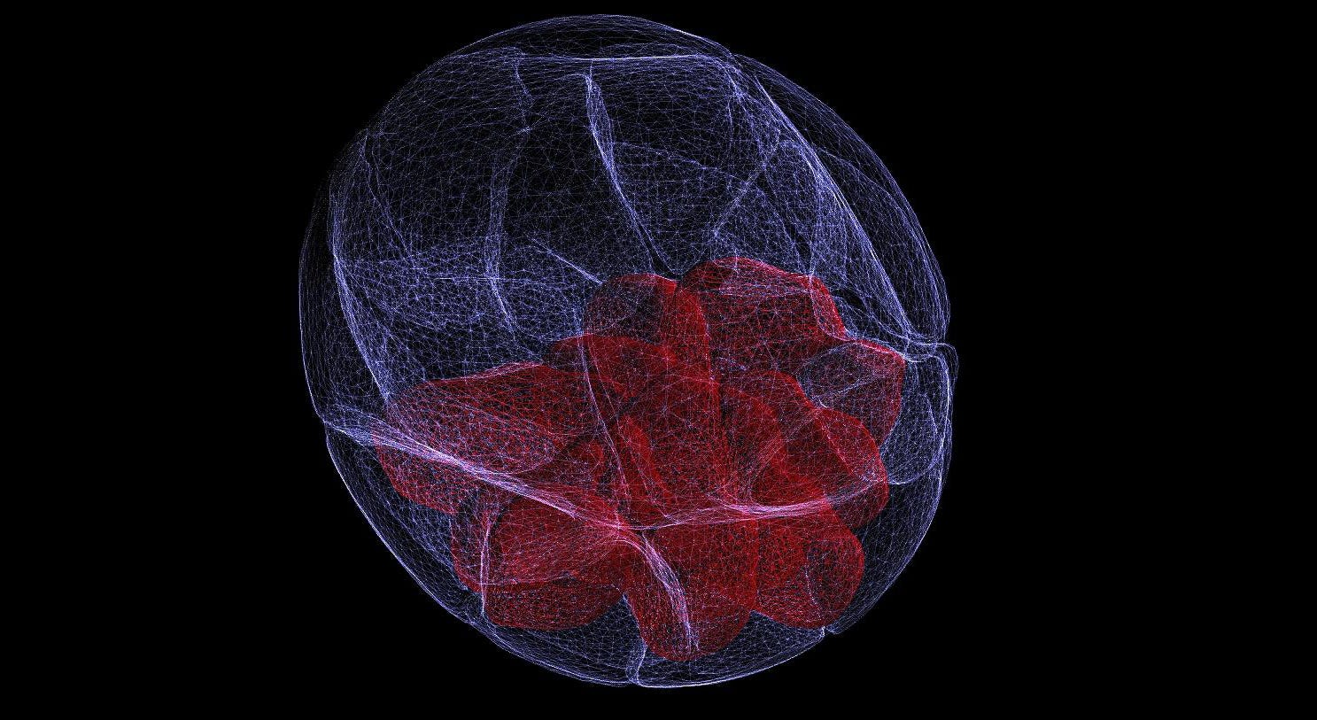 Tempting fate: How to get a head in embryo development | by