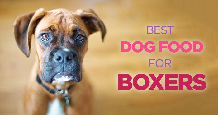 what foods have l carnitine and boxers dogs Hill's Science Diet Light Adult Dry Dog Food Royal Canin Breed Health Nutrition