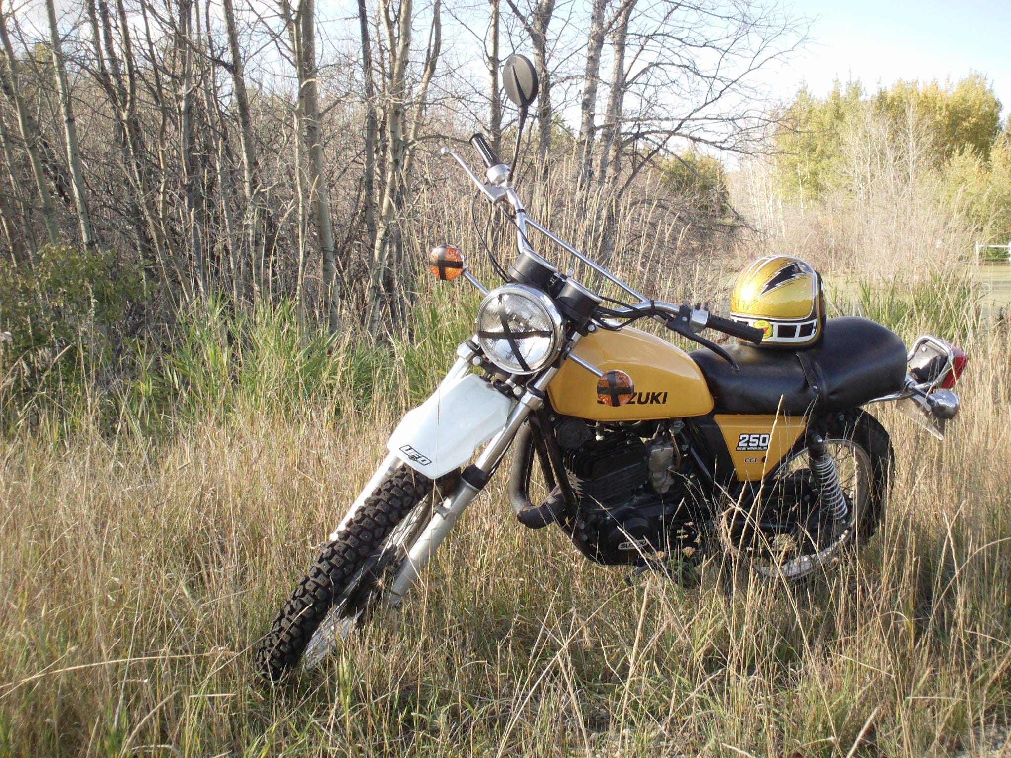 77 Suzuki TS-250 Project Bike. A few years ago I picked up an